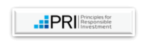 Principles for responsible investment
